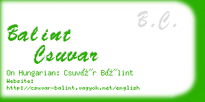 balint csuvar business card